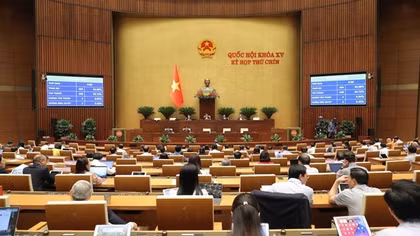 Nước trái cây tự nhiên, sản phẩm từ sữa không phải chịu thuế tiêu thụ đặc biệt