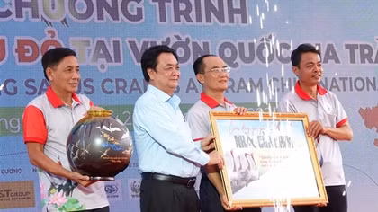 Tập trung bảo tồn và phát triển sếu đầu đỏ tại Vườn Quốc gia Tràm Chim