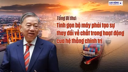 Tài năng đích thực sẽ luôn tỏa sáng