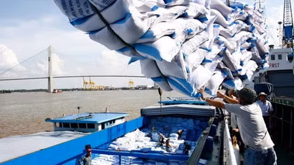Giá gạo xuất khẩu giảm mạnh, thị trường tiêu thụ có sự đảo chiều