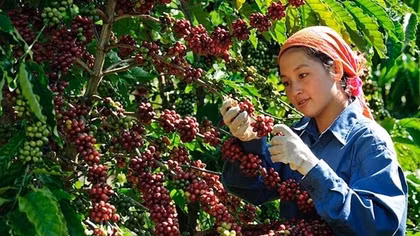 Doanh nghiệp tăng tốc đầu tư xanh để giảm phát thải