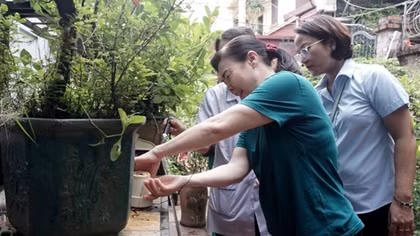 Sốt xuất huyết tiếp tục gia tăng, 11 người tử vong