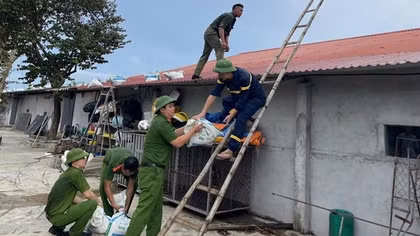 Nghệ An: Di dời 10.242 hộ với 39.476 người dân ven biển