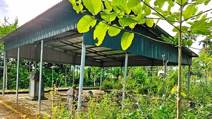 “Cứu” bảo vật Quốc gia