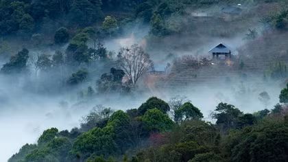 Lạc chốn bồng lai