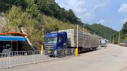 Thông quan nhanh để hoa quả tươi xuất sang Trung Quốc