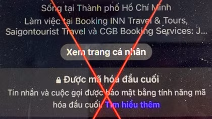 Cảnh giác lừa đảo khi mua vé máy bay trên mạng