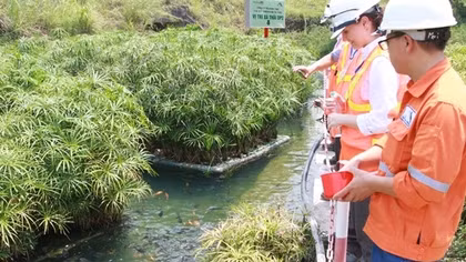 Năm thứ 4 liên tiếp Masan có tên trong Top 50 Doanh nghiệp phát triển bền vững