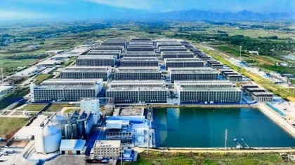 Đề xuất xin ý kiến Thủ tướng mô hình "chung cư nuôi lợn"