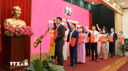 Sắp xếp tổ chức đảng trong tập đoàn kinh tế, tổng công ty, ngân hàng thương mại