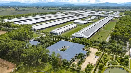 Vinamilk được xếp hạng sức mạnh thương hiệu xuất sắc, vượt trội toàn cầu