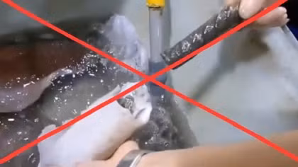 “Mực nhồi sắt” tại chợ Bình Điền là tin giả, nhằm câu view