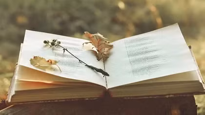 Có phải "nền thơ ca chính thống của ta hiếm có lấy một bài buồn"...