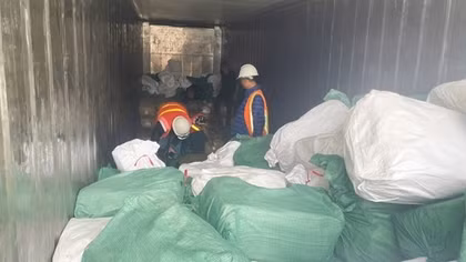 Khởi tố vụ án xuất khống 1.400 tấn chân gà đông lạnh, dấu hiệu trốn thuế 7 tỷ đồng
