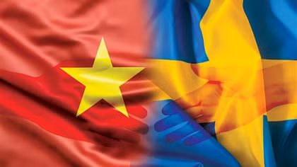 Định hình tầm nhìn chiến lược từ mối bang giao nửa thế kỷ