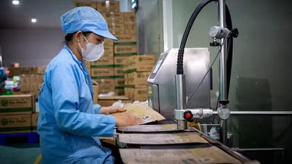Xuất khẩu bứt phá, phấn đấu đạt kim ngạch kỷ lục