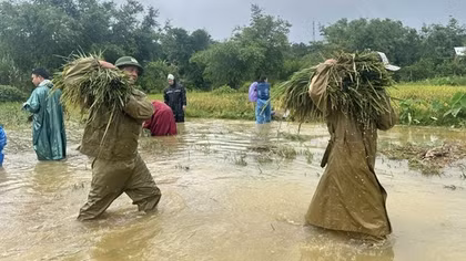 Công an xã, phường ở Huế giúp dân lợp mái nhà, gặt lúa chạy bão