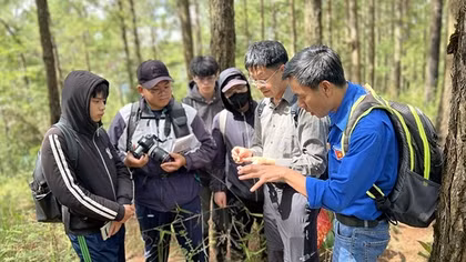 Mùa “săn” nấm trên cao nguyên