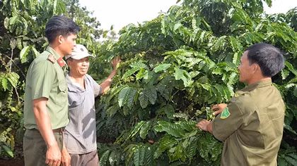 Lực lượng an ninh, trật tự cơ sở bảo vệ bình yên làng Mrông Yố 1