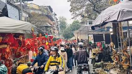 Nhộn nhịp chợ hoa xuân phố Hàng Lược
