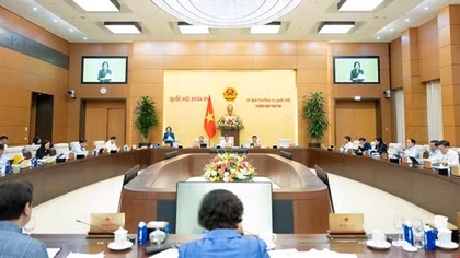 Thành phố sáp nhập từ 3 đơn vị hành chính cấp tỉnh có không quá 4 Phó Chủ tịch HĐND