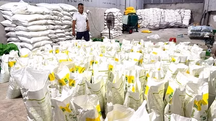Phát hiện công ty có dấu hiệu sản xuất buôn bán phân bón giả