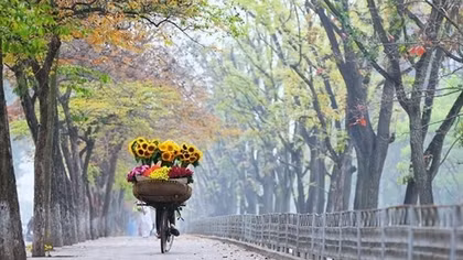 Bức tranh thu