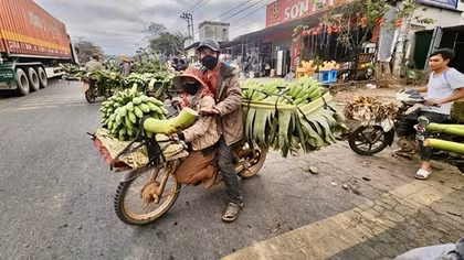 Hương chuối mật vùng Lìa