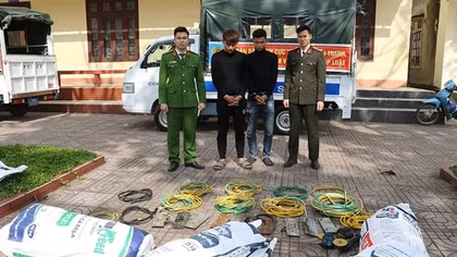 Hai đối tượng gây ra hơn 150 vụ trộm dây cáp trong vòng 20 ngày