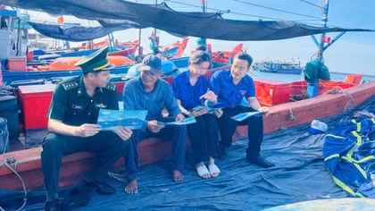 Quảng Ngãi quyết liệt xử lý tàu cá vi phạm IUU
