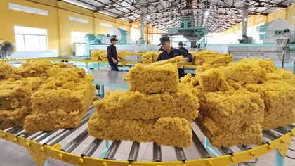 VRG vững vàng trên con đường xanh hóa
