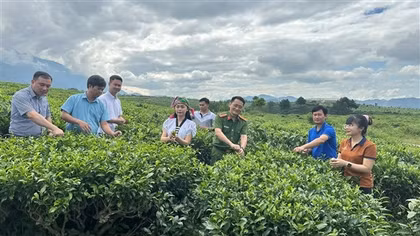 Chuyển đổi số lan tỏa mạnh mẽ ở xã miền núi Tân Uyên (bài 1)