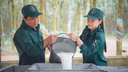 VRG: Tầm nhìn xa, chiến lược lớn và bước đi bền vững