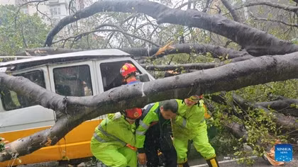 Cận cảnh sức tàn phá của bão Wipha khi đổ bộ Trung Quốc