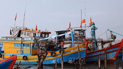 Tàu cá nằm bờ vì tàu một đằng, giấy phép một nẻo