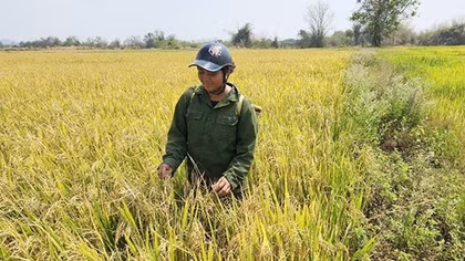Dòng nước mát đưa xã biên giới ấm no