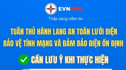 Tổng công ty Điện lực miền Bắc khuyến nghị người dân nâng cao ý thức an toàn điện