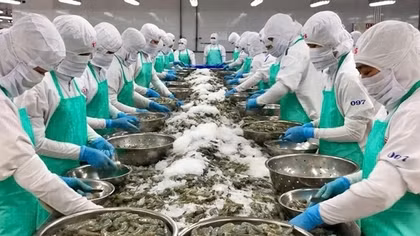 Tìm đầu ra mới cho các mặt hàng gặp khó tại Mỹ
