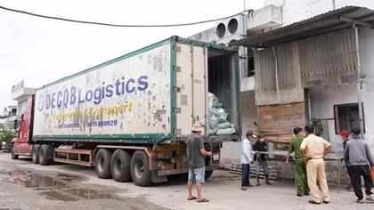 Xe đầu kéo chở 30 tấn thịt lợn, gà đông lạnh không rõ nguồn gốc