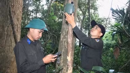 Giữ hồn rừng bằng dấu chân khoa học