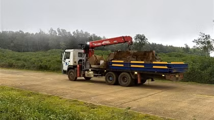 Từ phản ánh của Báo CAND, xử lý trạm cân kiểm, thu mua cây gỗ keo trái phép