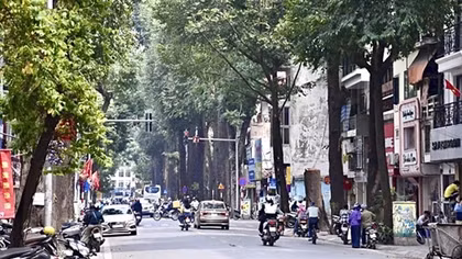 Nghe cây sao kể chuyện phố, chuyện đời