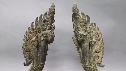 Những giấc mơ rắn