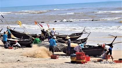 Vĩnh Hoàng - vùng biển trăm nghề