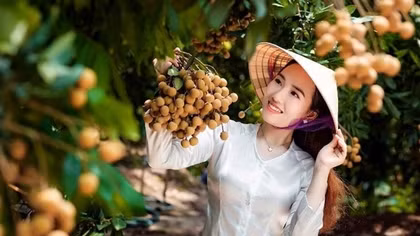 Người dân nông thôn Hưng Yên bắt nhịp chuyển đổi số