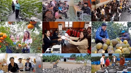 Năm 2024: Nỗ lực vượt khó, NHCSXH đạt nhiều thành tựu nổi bật