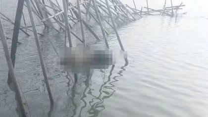 Tìm thân nhân của người đàn ông tử vong trên sông