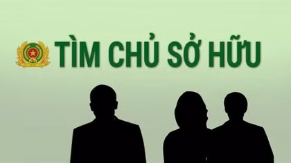 Tìm chủ sở hữu con trâu liên quan trong vụ tai nạn giao thông