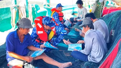 Xử lý nghiêm các hành vi vi phạm khai thác thủy sản bất hợp pháp