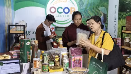 Vì sao hơn 80.000 gian hàng "bốc hơi" khỏi sàn thương mại điện tử?